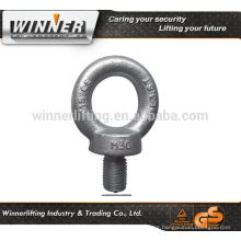 DIN580 Lifting Eye Bolt